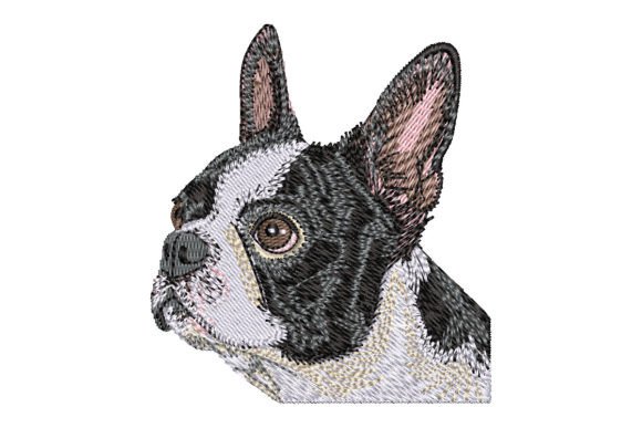 Boston Terrier Embroidery Design Review