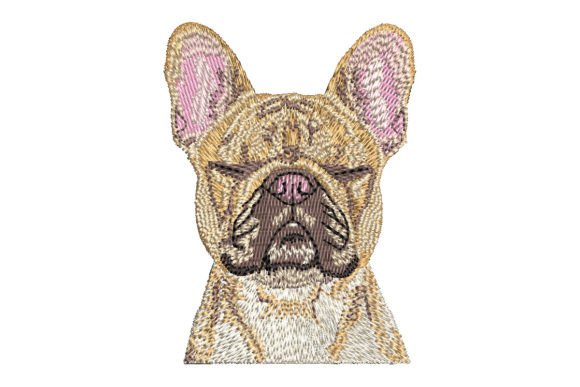 Meditating French Bulldog